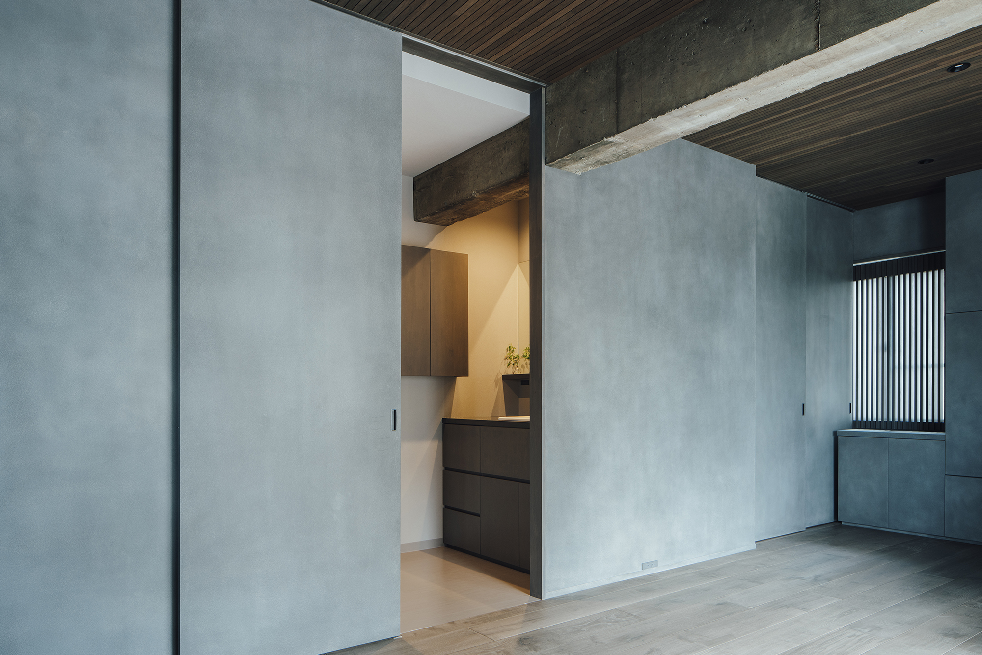 Gray Syncretic House